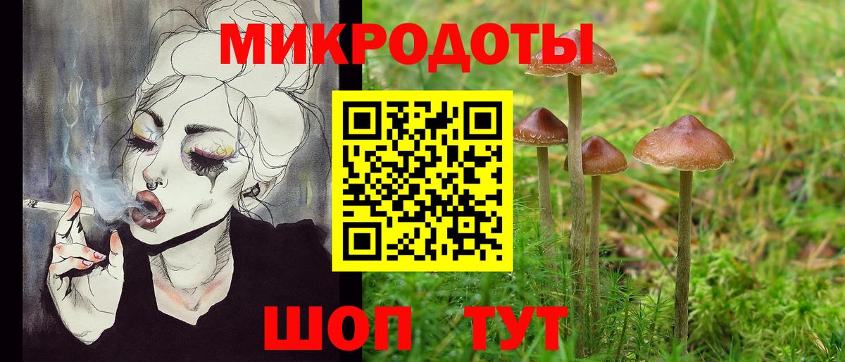 Псилоцибиновые грибы Psilocybe  Вход с VPN  Лыткарино 